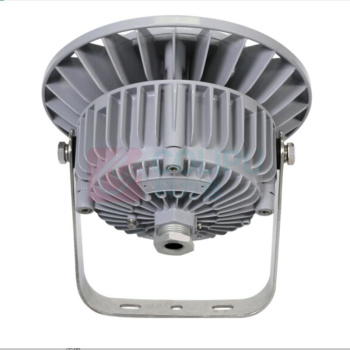 通明 TORMIN LED防爆灯 BC9308S-L80-200 80W IP66 ExdIICT4Gb/ExtDA21IP66T130℃ AC185~264V 5000K 白光 (灰色) (单位:个)