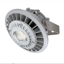 通明 防水防尘灯 ZY8607S-L50-200 50W IP66 AC90~264V 5000K LED光源 配光200度 支架式 (灰色) (单位:个)