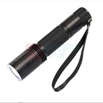 通明 TORMIN 固态强光防爆电筒 BW7300B 1W IP67 ExdⅡCT6Gb DC3.7V 6000K 强光8h/工作光18h (黑色)
