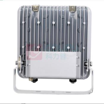 通明电器 LED泛光灯 ZY8101-L50 50W 