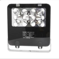 通明电器 LED泛光灯 ZY8101B-L25 纯应急25W 