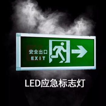 三雄极光 Pak 三雄极光 消防应急照明灯 PAK-Y01-208AX