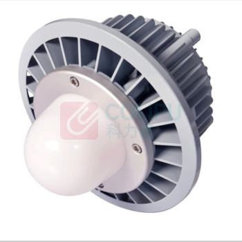 通明 TORMIN 防爆灯 BC9308P-L40-200 40W IP66 ExdIICT6Gb/ExtDA21IP66T80℃ AC90~264V 5000K 白光 (灰色) (单位:个)