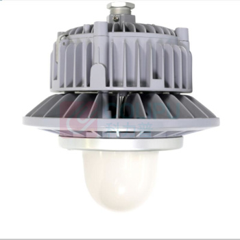 通明 TORMIN 防爆灯 BC9308P-L40-200 40W IP66 ExdIICT6Gb/ExtDA21IP66T80℃ AC90~264V 5000K 白光 (灰色) (单位:个)