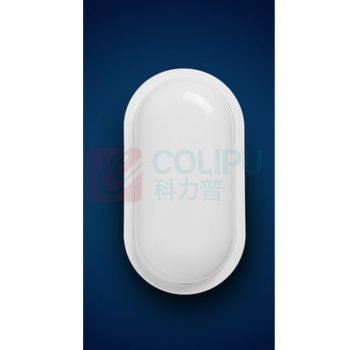 飞利浦 PHILIPS 墙壁灯 LED-220V-15W 椭圆形、尺寸：21.4*11.2*6.5CM 