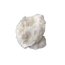柳新辉 工业棉纱 LXH-20