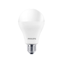 飞利浦 PHILIPS LED球型灯泡 E27/15W/6500k (白光) (12只/箱)