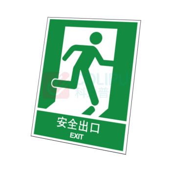 嘉辽 普通夜光 安全出口 BS0601 向右250*315mm 单个装