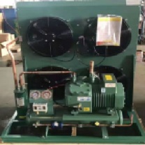 比泽尔 活塞比泽尔压缩电机组 4HE-18-40P/bitzer 额定电压380-420，最大工作电流36.7，转速1450/min 