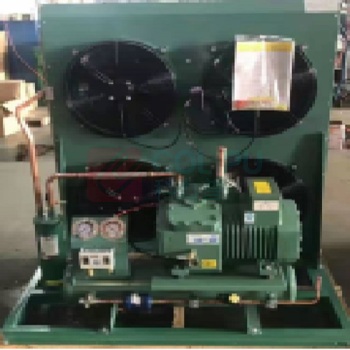 比泽尔 活塞比泽尔压缩电机组 6HE-28-40P/bitzer 额定功率440-480，最大工作电流53.2，转速1750/min 