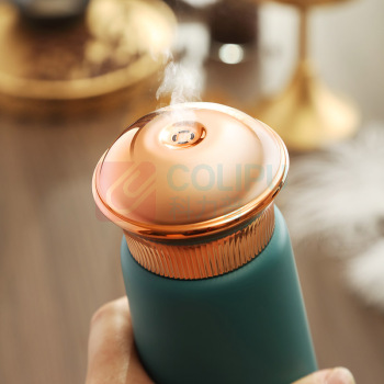 西屋 Westinghouse 便携电热水杯 WSH-A326 300ml 
