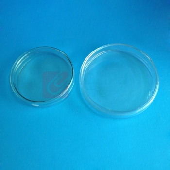 维跃 玻璃培养皿 Φ75mm Φ75mm 