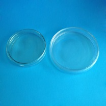 维跃 玻璃培养皿 Φ75mm Φ75mm 