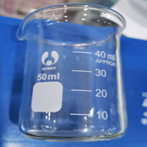 博美 低型烧杯50ml 20个/盒 50ml 50ml (透明)
