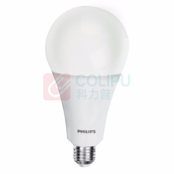 飞利浦 PHILIPS 球泡 15W E27 6500K / 12个/箱 经济型LED球泡