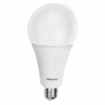 飞利浦 PHILIPS 球泡 15W E27 6500K  经济型LED球泡