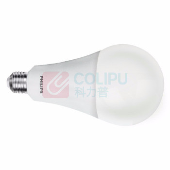 飞利浦 PHILIPS 球泡 19W E27 6500K / 12个/箱 经济型LED球泡