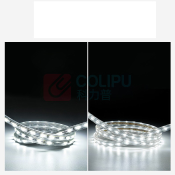 飞利浦 PHILIPS 高压灯带 5W 3000K 50米 / 40根/箱 品歆LED高压灯带 单排