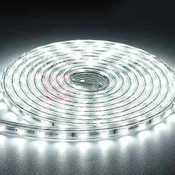 飞利浦 PHILIPS 高压灯带 5W 6500K 50米 / 40根/箱 品歆LED高压灯带 单排