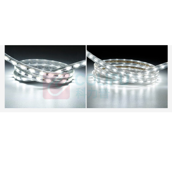 飞利浦 PHILIPS 高压灯带 5W 6500K 50米 / 40根/箱 品歆LED高压灯带 单排