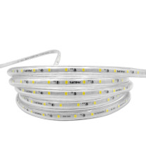 飞利浦 PHILIPS 高压灯带 5W 4000K 50米 / 40根/箱 恒亮LED高压灯带 单排