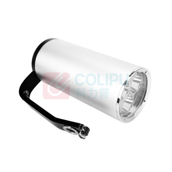 深照紫光 消防员照明灯具 FD-FBSI350/A
