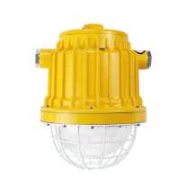 深照紫光 矿用隔爆型LED巷道灯 DGS48/127L(B) 吊环式、吸顶式