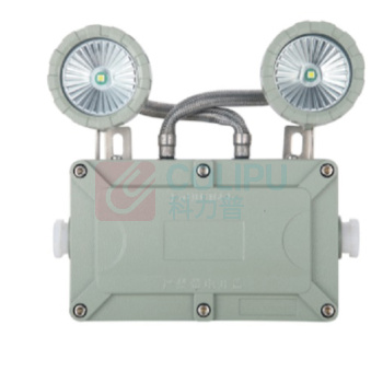 东君 防爆A型应急双头灯 DC36 1X3W 247*60*243mm 压铸铝喷塑