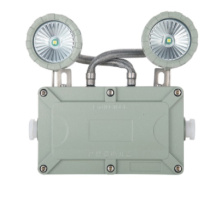 东君 防爆A型应急双头灯 DC36 1X3W 247*60*243mm 压铸铝喷塑