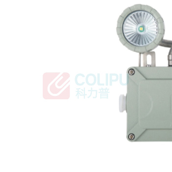 东君 防爆A型应急双头灯 DC36 1X3W 247*60*243mm 压铸铝喷塑