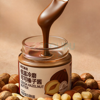 展艺 低温冷磨可可榛子酱 100g