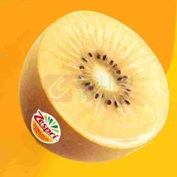 佳沛 ZESPRI 新西兰阳光金奇异果黄心猕猴桃整箱水果【金标级】果王|单果175-204g 原箱礼盒18粒