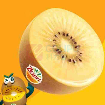 佳沛 ZESPRI 新西兰阳光金奇异果黄心猕猴桃整箱水果【金标级】果王|单果175-204g 原箱礼盒18粒