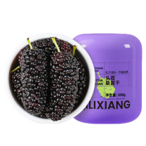 杞里香 攀枝花黑桑葚即食桑椹干 300g