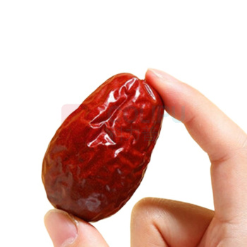 杞里香 宁夏红枣 250g