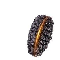 方家铺子 6星椹大桑葚干 500g 大果均≥2cm