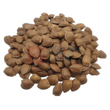腾盛 华彩果礼 干果干货十件套 1.9kg