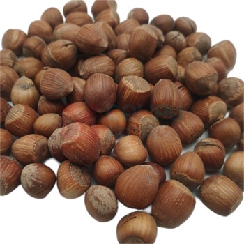 腾盛 华彩果礼 干果干货十件套 1.9kg