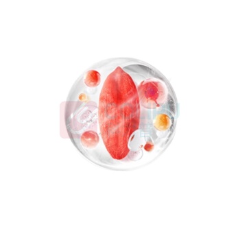 百瑞源 宁夏枸杞 特优级锁鲜枸杞子礼盒 270g