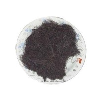 国产 发菜 500g