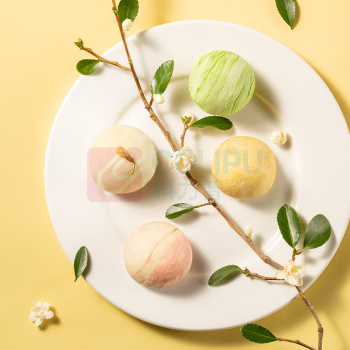 轩妈 月饼礼盒 花间寻鲜 495g