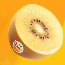 佳沛 ZESPRI 新西兰进口奇异果阳光金果奇异果黄心猕猴桃 22粒特大果单果103-125g