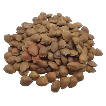 腾盛 华彩果礼礼盒 HCGL19 1.9kg