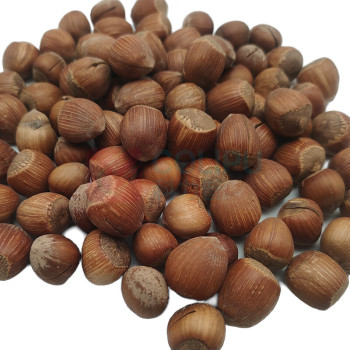 腾盛 华彩果礼礼盒 HCGL19 1.9kg
