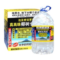 椰树 长寿泉国宝饮用天然矿泉水 2桶/箱 10L