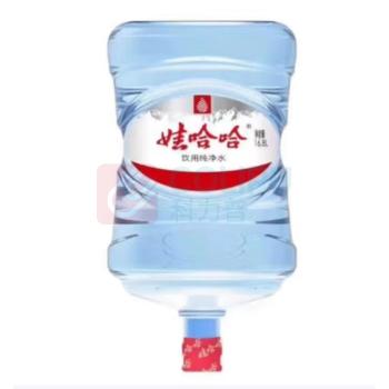 娃哈哈 Wahaha 纯净水 16.8L