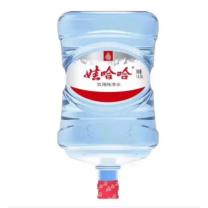娃哈哈 Wahaha 纯净水 16.8L