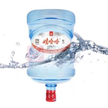 娃哈哈 Wahaha 纯净水 16.8L