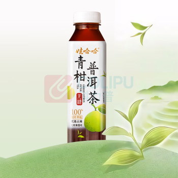 娃哈哈 Wahaha 青柑普洱茶无糖茶饮料 500ml*15瓶/箱