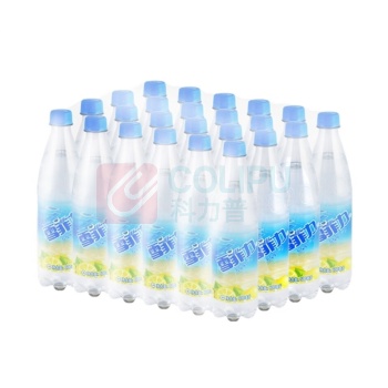 雪菲力 盐汽水 600ml/瓶 24瓶/箱 (仅供江浙沪皖)